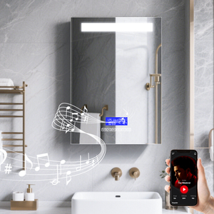 Anti-Fog 3CCT Single-Door Stainless Steel LED Mirror Cabinet CSS-4262 with Multi-Function