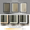 Single-Door Iron LED Mirror Cabinet CTS-6265: Touch Buttons, Anti-Fog, 3CCT, Adjustable Brightness & Iron Edge Trim