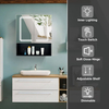 Steel with Powder Coated Mirror Cabinet - 6171