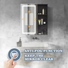 Steel with Powder Coated Mirror Cabinet - 6066