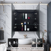 Double - Door Powder - Coated Iron Back - framed LED Mirror Cabinet CTD-413
