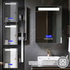 Anti-Fog 3CCT Single-Door Stainless Steel LED Mirror Cabinet CSS-4262 with Multi-Function