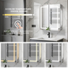 Double - Door Frameless Aluminum LED Mirror Cabinet CAD-4111