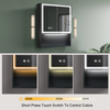 Impact-Resistant Moisture-Resistant Steel With Powder Coated Mirror Cabinet Impact-Resistant