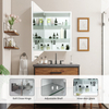 Easy-To-Clean Framed Steel With Powder Coated Mirror Cabinet For Office