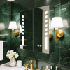 Stainless Steel Double-Door LED Mirror Cabinet CSD-5281: Touch Buttons, Anti-Fog Technology, 3CCT, Variable Brightness