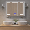 Stainless Steel Mirror Cabinet - 9181