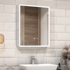 Stainless Steel Mirror Cabinet - 51711