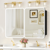 Uniquely Designed Arc-Shaped Double-Door Steel Mirror Cabinet Bathroom Vanities Product