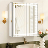 Newly Designed Double-Door Aluminum Mirror Cabinet with Beveled Edges And Glass on The Sides