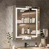 CAL-6171-SI-Aluminum Double Door Mirror Cabinet with Light