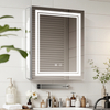 Single - Door Aluminum LED Mirror Cabinet CAS-411