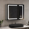 LED Stainless Steel Mirror Cabinet with Mixed-Size Doors