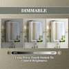 Single-Door Aluminum LED Mirror Cabinet CAS-6264: Touch Buttons, Anti-Fog, 3CCT, Adjustable Brightness & Double Sandblasted Light Strips