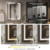 CAL-6171-SI-Aluminum Double Door Mirror Cabinet with Light