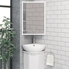 CTL-3570-CN-Corner Mirror Cabinet with Light