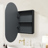 Premium Single-Door Powder-Coated Iron LED Mirror Cabinet CTS-5222: Smart Touch Buttons, Anti-Fog Function, 3CCT Settings & Brightness Adjustment