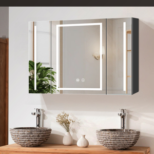 Moisture-Resistant Framed Steel With Powder Coated Mirror Cabinet For Spa