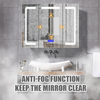 Stainless Steel Mirror Cabinet - 9181