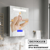 Anti-Fog 3CCT Single-Door Stainless Steel LED Mirror Cabinet CSS-4262 with Multi-Function