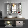 Stainless Steel Mirror Cabinet - 9181