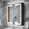 Double - Door Powder - Coated Iron LED Mirror Cabinet CTD-4173: Touch Buttons, Anti - Fog, 3CCT & Adjustable Brightness