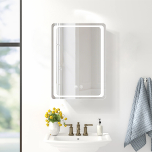 Anti-Fog 3CCT Single-Door Steel LED Mirror Cabinet CTS-6051 with Touch Controls & Vertical Lighting Zones