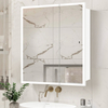 Asymmetrical Double-door Wall-Mounted Steel Mirror Cabinet For Hotel