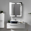 Stainless Steel Mirror Cabinet - 6171