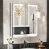 Premium Double-Door Stainless Steel LED Mirror Cabinet CSD-5053: Smart Touch, Anti-Fog Function, 3CCT Settings & Dimmable Lights