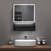 Impact-Resistant Moisture-Resistant Steel With Powder Coated Mirror Cabinet Impact-Resistant
