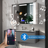 Stainless Steel Mirror Cabinet - 9181
