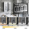 Double - Door Powder - Coated Iron LED Mirror Cabinet CTD-4173: Touch Buttons, Anti - Fog, 3CCT & Adjustable Brightness
