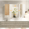 Framed Steel With Powder Coated Mirror Cabinet For Spa