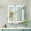 Black Powder-Coated Double-Door Steel Mirror Cabinet