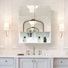 Modern White Steel Water Resistant Mirror Cabinet with Double Doors & Clear Compartmentalized Storage for Bathroom