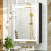 LED Black Sandblasted Irregular Steel Bathroom Mirror Cabinet
