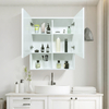 Modern White Steel Water Resistant Mirror Cabinet with Double Doors & Clear Compartmentalized Storage for Bathroom