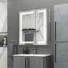 Irregular-Shaped Rectangle Two-Door Aluminum Mirror Cabinet