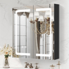 Black Powder-Coated Double-Door Steel Mirror Cabinet